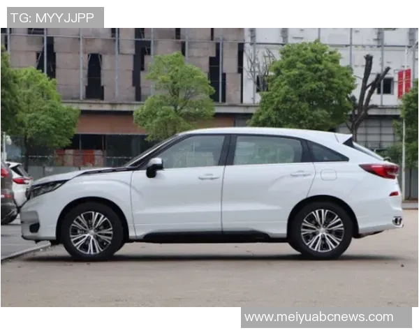 TES在世界冠军杯中的实力展现与战术分析全景解读