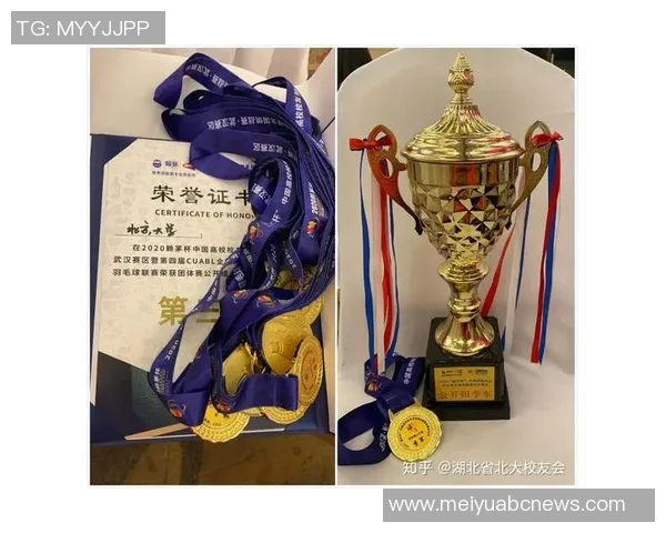 深圳羽毛球队个人能力深度对比分析与发展潜力探讨