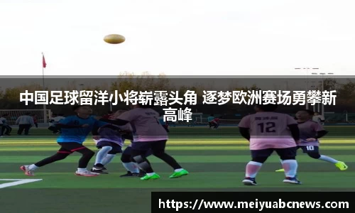 333体育