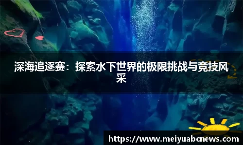 333体育app最新版本下载